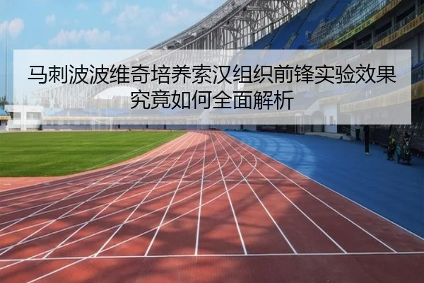 马刺波波维奇培养索汉组织前锋实验效果究竟如何全面解析 | kaiyun