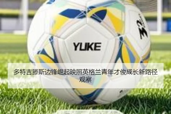 多特吉滕斯边锋崛起映照英格兰青年才俊成长新路径观察 | kaiyun