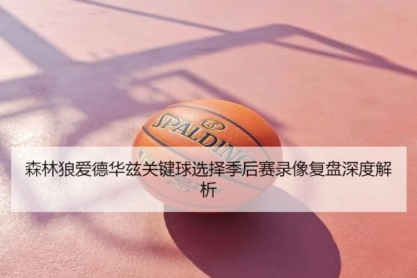 森林狼爱德华兹关键球选择季后赛录像复盘深度解析 | kaiyun